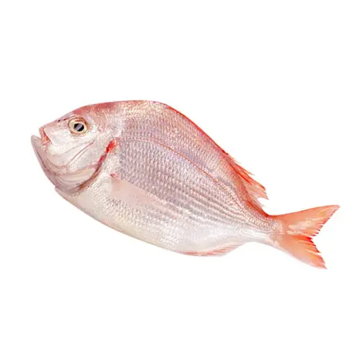 紅立魚 500g/份 （三清）（零下60°鮮凍）